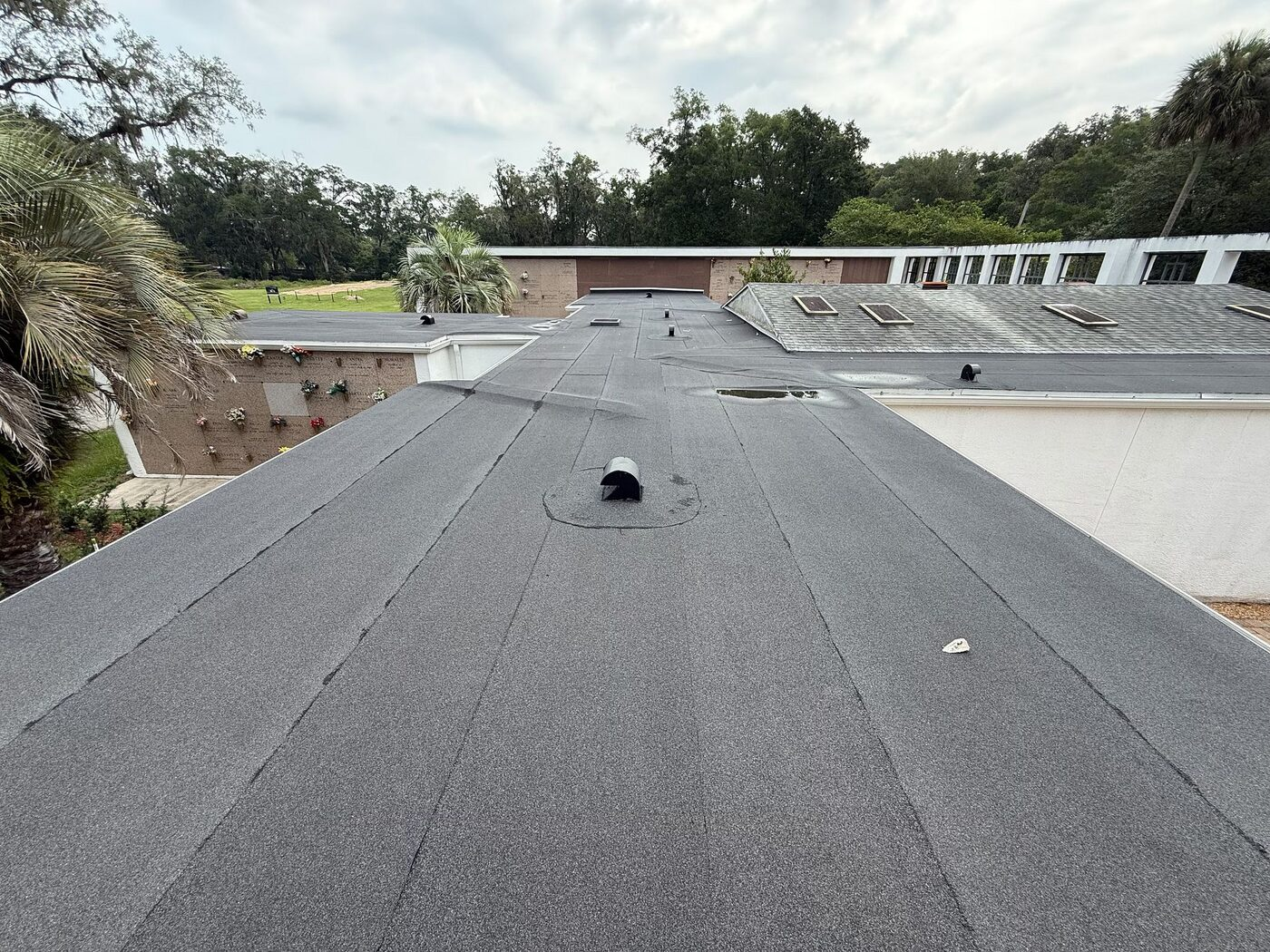 A broad modified-bitumen roof area with age-related surface wear.